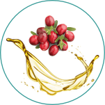 Yummys-Zutaten7 Yummys-Zutaten7
